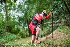 BIB: 
                            <button type="button" onclick="openModal(19430748)" class="btn btn-primary btn-sm float-right btn-popup" data-toggle="modal" data-target=".modal-high-quality">
                        <i class="fas fa-shopping-cart"></i> Add to Cart
                    </button>
                                            <button type="button" onclick="isThisMe(19430748, true)" class="btn btn-success btn-sm float-right btn-popup btn-isme hidden" data-toggle="tooltip" data-placement="bottom" title="นี่คือรูปของคุณใช่ไหม คลิกที่นี่เพื่อเอาเข้าอัลบั้ม">
                        <i class="fas fa-plus"></i> Add to album
                    </button>
                    <button type="button" onclick="isThisMe(19430748, false)" class="btn btn-warning btn-sm float-right btn-popup btn-isnotme hidden">
                        <i class="fas fa-ban"></i> Remove from album
                    </button>